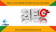 There Is Do Dearth Of SEO Service Providers